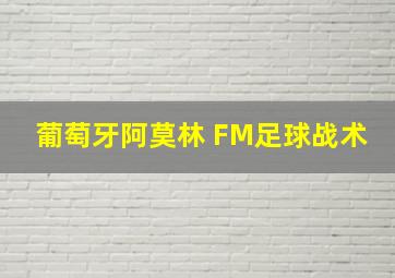 葡萄牙阿莫林 FM足球战术